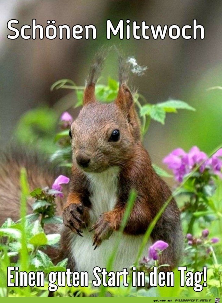 RaabeOlli's tweet image. Guten Morgen ihr lieben 😘 Und schwupp, schon ist wieder Mittwoch 😁 Habt einen schönen Tag 🤗