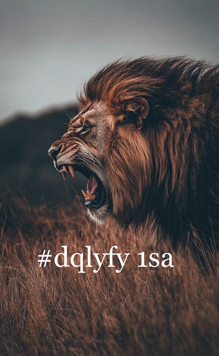 💎Nor elrhman💎 (@nor3rh) on Twitter photo <a href="/dqlyfy1sa/">🏅ناري اليافي 🏅 🍁 💯fb 💯 🌟☀️🎇🚀</a> <a href="/qasm_y4/">صادق💫 🌞🎯 أتابع الجميع</a> <a href="/Al___wtny/">الغريب في وطني 🇾🇪 نشط 🔥</a> <a href="/Lea_Dhai/">🐥𝒫𝓇𝒾𝓃𝒸𝑒𝓈𝓈 ℒ𝑒𝒶𝒽 ⭕️130 K👑</a> <a href="/2_i_2i/">🔥🅰️ 🇩 🅰️ 🇲🔥2</a> <a href="/1_i_1i/">🔥🅰️ 🇩 🅰️ 🇲🔥</a> <a href="/3_i_3i/">༺Leͥgeͣnͫd༻</a> <a href="/nor4rh/">💥Nor elrhman💥</a> <a href="/12ZZZ22/">دختور🔥🔥</a> <a href="/ka20747/">الملكي kasim</a> <a href="/poohglm/">بوح القلم</a> <a href="/poohglam/">فرز القلم</a> <a href="/qrlyfy644963/">صقر</a> <a href="/001aEidoo/">عطر🪷 الكلام🪷</a> <a href="/Azhrls1/">AZHARUL SALMAN</a> <a href="/y__15500/">حلاااااتي بضحكااااتي 🇸🇦</a> <a href="/V13lula/">Karen Lúcia♀️🚩🌵</a> <a href="/N2Sdv/">🌸Elaine🌸 ❌No DM❌</a> <a href="/mseer_0/">مًسِآر 🌷</a> <a href="/lynna_nich/">LynnaRTGAINS 💞 100K #ActiveGains #MGWV</a> <a href="/Kamala_ala/">D.Kamal Awad</a> <a href="/alahly7744/">الأهلي القمة 🌹</a> <a href="/Faton_2013/">Faton</a> موفقين نجوم الرائع ناري👇 🔥
🔥#dqlyfy1sa
🌟<a href="/dqlyfy1sa/">🏅ناري اليافي 🏅 🍁 💯fb 💯 🌟☀️🎇🚀</a>
🔥<a href="/qasm_y4/">صادق💫 🌞🎯 أتابع الجميع</a>
🌟<a href="/Al___wtny/">الغريب في وطني 🇾🇪 نشط 🔥</a>
🔥<a href="/Kamala_ala/">D.Kamal Awad</a>
🌟<a href="/ymw1687/">مهندس ايمن</a>
🌟<a href="/mrl_q20/">✨Miral✨</a>
🌟<a href="/lm_zky/">🔥💥nor💥🔥</a>
🌟<a href="/nor3rh/">💎Nor elrhman💎</a>
🔥<a href="/WX2fu/">مهندس ايمن عماره</a>
🌟<a href="/1alny/">✨Aliaa elhinawy✨</a>
🔥<a href="/9rrgr/">لهــيب المــشـا؏ر❤️🔥</a>
🔥<a href="/1_i_1i/">🔥🅰️ 🇩 🅰️ 🇲🔥</a>
🌟<a href="/2_i_2i/">🔥🅰️ 🇩 🅰️ 🇲🔥2</a>
🔥<a href="/8rrgr/">جنونــ المــشـا؏ر❤️🔥</a>
🌟<a href="/7rrgr/">حروفٌ لها صوت</a>
🔥<a href="/qrlyfy644963/">صقر</a>
🔥🌟🌟🔥
#ملك_الدعم_والاضافات #دعم_نور_الرحمن♍#Miral <a href="/dqlyfy1sa/">🏅ناري اليافي 🏅 🍁 💯fb 💯 🌟☀️🎇🚀</a> <a href="/qasm_y4/">صادق💫 🌞🎯 أتابع الجميع</a> <a href="/Al___wtny/">الغريب في وطني 🇾🇪 نشط 🔥</a> <a href="/Lea_Dhai/">🐥𝒫𝓇𝒾𝓃𝒸𝑒𝓈𝓈 ℒ𝑒𝒶𝒽 ⭕️130 K👑</a> <a href="/2_i_2i/">🔥🅰️ 🇩 🅰️ 🇲🔥2</a> <a href="/1_i_1i/">🔥🅰️ 🇩 🅰️ 🇲🔥</a> <a href="/3_i_3i/">༺Leͥgeͣnͫd༻</a> <a href="/nor4rh/">💥Nor elrhman💥</a> <a href="/12ZZZ22/">دختور🔥🔥</a> <a href="/ka20747/">الملكي kasim</a> <a href="/poohglm/">بوح القلم</a> <a href="/poohglam/">فرز القلم</a> <a href="/qrlyfy644963/">صقر</a> <a href="/001aEidoo/">عطر🪷 الكلام🪷</a> <a href="/Azhrls1/">AZHARUL SALMAN</a> <a href="/y__15500/">حلاااااتي بضحكااااتي 🇸🇦</a> <a href="/V13lula/">Karen Lúcia♀️🚩🌵</a> <a href="/N2Sdv/">🌸Elaine🌸 ❌No DM❌</a> <a href="/mseer_0/">مًسِآر 🌷</a> <a href="/lynna_nich/">LynnaRTGAINS 💞 100K #ActiveGains #MGWV</a> <a href="/Kamala_ala/">D.Kamal Awad</a> <a href="/alahly7744/">الأهلي القمة 🌹</a> <a href="/Faton_2013/">Faton</a> موفقين نجوم الرائع ناري👇 🔥
🔥#dqlyfy1sa
🌟<a href="/dqlyfy1sa/">🏅ناري اليافي 🏅 🍁 💯fb 💯 🌟☀️🎇🚀</a>
🔥<a href="/qasm_y4/">صادق💫 🌞🎯 أتابع الجميع</a>
🌟<a href="/Al___wtny/">الغريب في وطني 🇾🇪 نشط 🔥</a>
🔥<a href="/Kamala_ala/">D.Kamal Awad</a>
🌟<a href="/ymw1687/">مهندس ايمن</a>
🌟<a href="/mrl_q20/">✨Miral✨</a>
🌟<a href="/lm_zky/">🔥💥nor💥🔥</a>
🌟<a href="/nor3rh/">💎Nor elrhman💎</a>
🔥<a href="/WX2fu/">مهندس ايمن عماره</a>
🌟<a href="/1alny/">✨Aliaa elhinawy✨</a>
🔥<a href="/9rrgr/">لهــيب المــشـا؏ر❤️🔥</a>
🔥<a href="/1_i_1i/">🔥🅰️ 🇩 🅰️ 🇲🔥</a>
🌟<a href="/2_i_2i/">🔥🅰️ 🇩 🅰️ 🇲🔥2</a>
🔥<a href="/8rrgr/">جنونــ المــشـا؏ر❤️🔥</a>
🌟<a href="/7rrgr/">حروفٌ لها صوت</a>
🔥<a href="/qrlyfy644963/">صقر</a>
🔥🌟🌟🔥
#ملك_الدعم_والاضافات #دعم_نور_الرحمن♍#Miral
