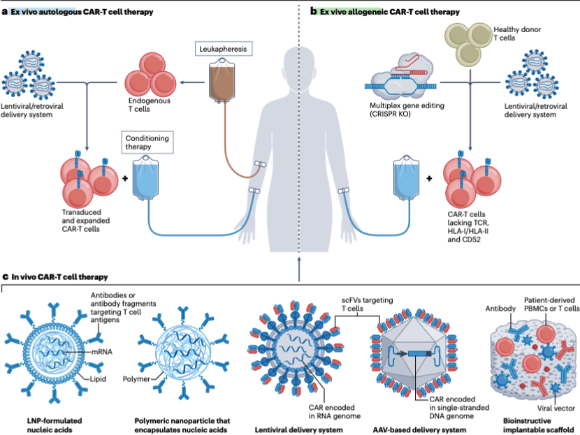 進化著しいin vivo CAR免疫療法。ex vivo自家・他家CARの弱点を補うことが期待されています。さまざまなテクノロジー(mRNA-LNP, nanoparticles)、ex vivoとの比較、コンビネーション療法などがまとまった入門によいレビュー

Nature Reviews Immunologyより
nature.com/articles/s4157…