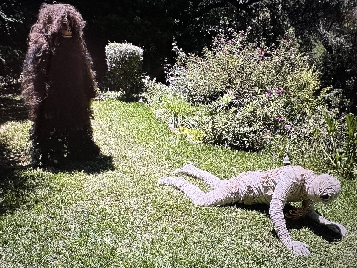 Wild Eye Releasing (@wildeyemovies) on Twitter photo 