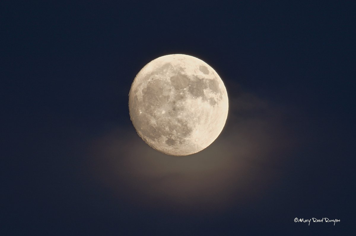 MaryReedRunyon1's tweet image. #Moon Hatfield, KY @WYMT @brobwx @WSAZBrandon @SpencerWeather @cjwxguy56 @Kentuckyweather @snider_wx @JimWKYT @jloganwxguy @spann #ekywx #kywx #sekywx