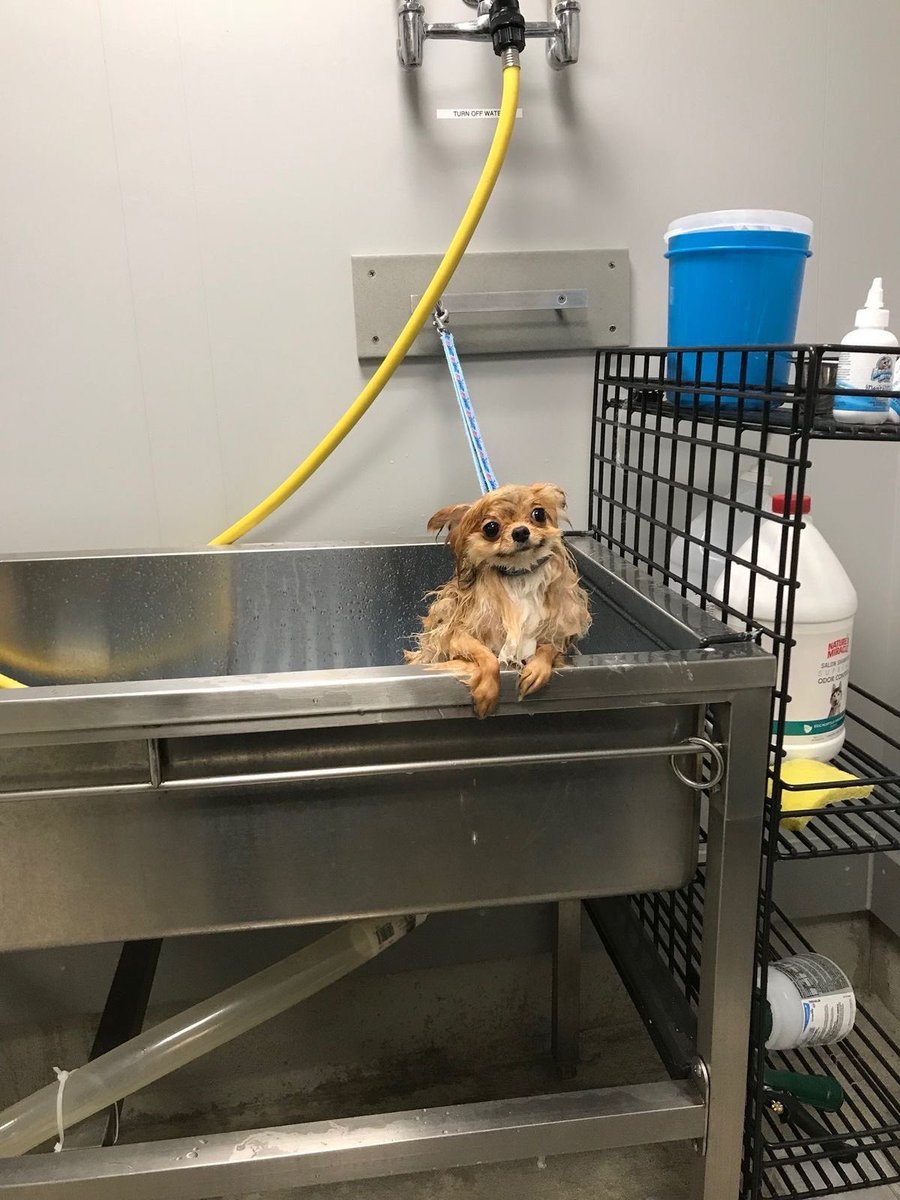 twaniimals's tweet image. 