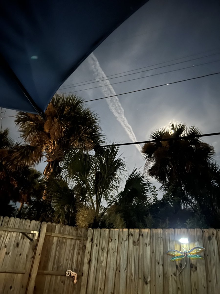 HappyToLiveInFL's tweet image. Florida, same position, same size for the past 2 hours. Is this normal?