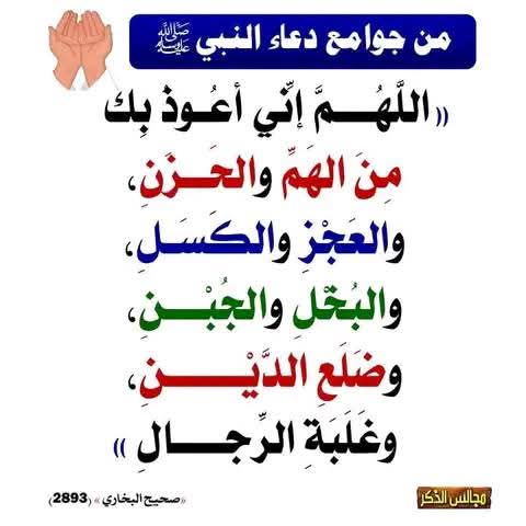Ahmed Ahmed (@ahmedah39449361) on Twitter photo 