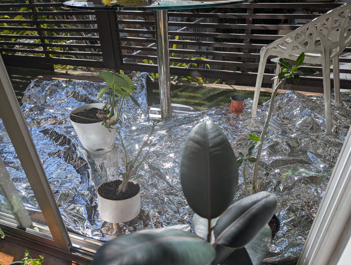 georgedarroch's tweet image. if you have an appropriate outdoor space and want more light in your apartment..
you can lay space blankets down for a couple of dollars each