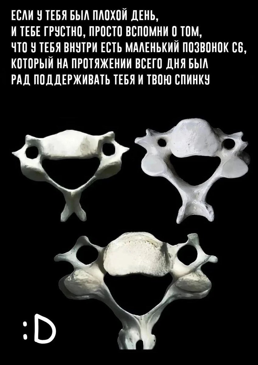 Доброе утро, книголюбы!