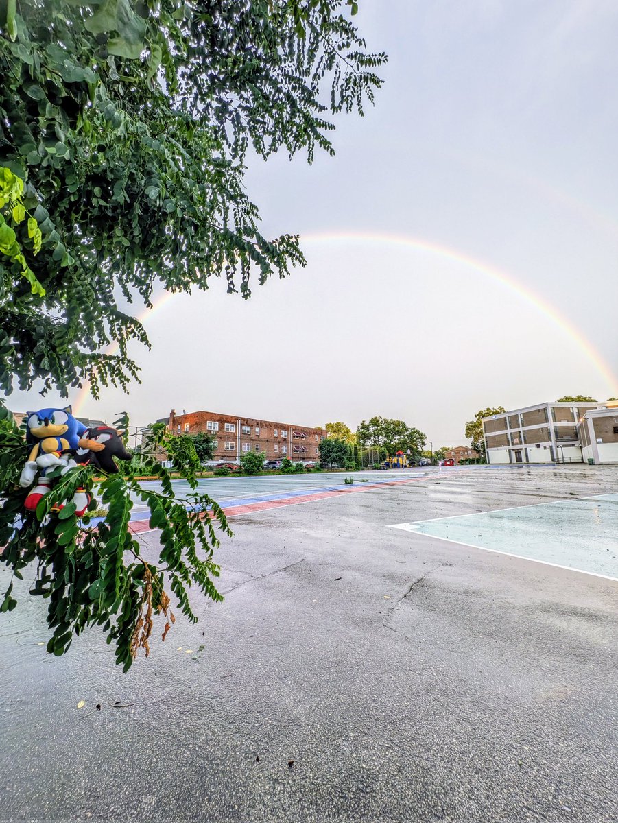 ham_sonic's tweet image. Nature says
&quot;Pride isn&apos;t over&quot;

#Sonadow
