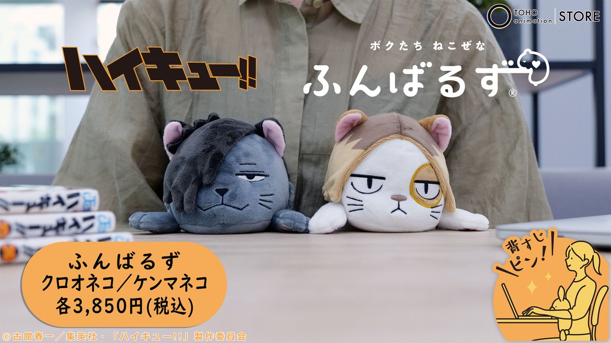 TOHOanimeSTORE's tweet image. 【#ハイキュー】
○━●━━○━━●━○━━●━○
あなたの ねこぜを 今日もおたすけ。
「#ふんばるず」から
「クロオネコ」と「ケンマネコ」が
TaS限定で登場!
○━●━━○━━●━○━━●━○
\数量限定にて好評発売中です!/
☑️ご注文はこちら
tohoanimationstore.com/shop/r/r334/
#hq_anime