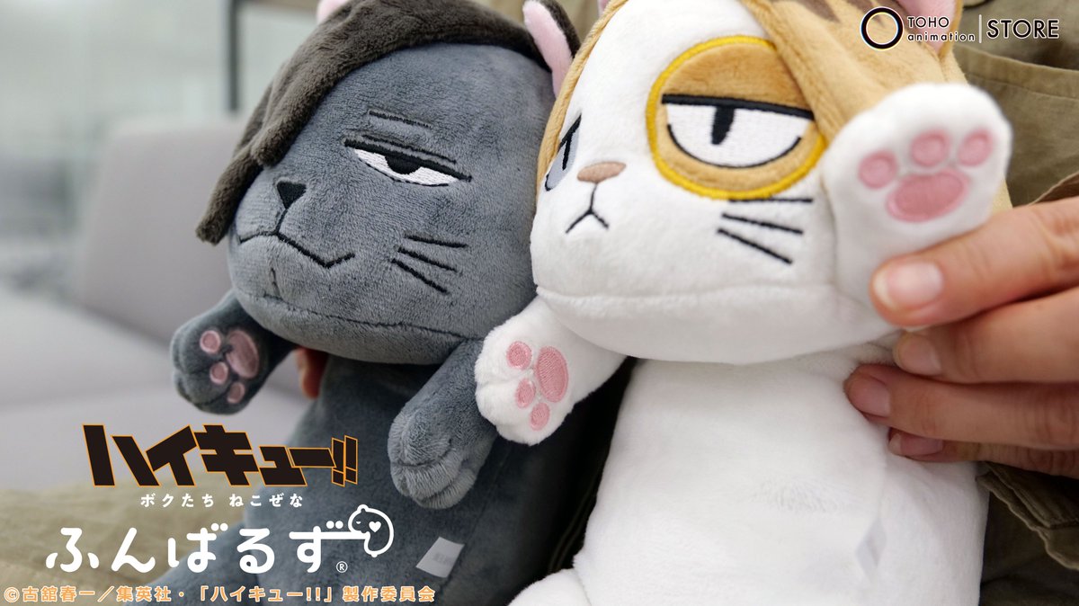 TOHOanimeSTORE's tweet image. 【#ハイキュー】
○━●━━○━━●━○━━●━○
あなたの ねこぜを 今日もおたすけ。
「#ふんばるず」から
「クロオネコ」と「ケンマネコ」が
TaS限定で登場!
○━●━━○━━●━○━━●━○
\数量限定にて好評発売中です!/
☑️ご注文はこちら
tohoanimationstore.com/shop/r/r334/
#hq_anime