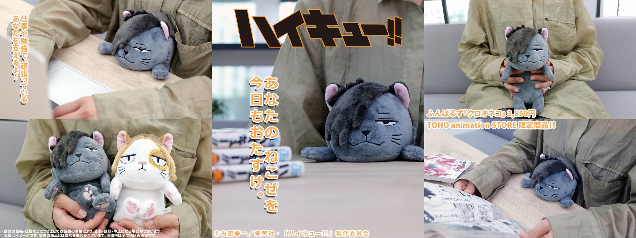 ハイキュー!! ふんばるず ケンマネコ　クロオネコ Amazon.co.jp: ハイキュー!! ふんばるず ぬいぐるみ クッション