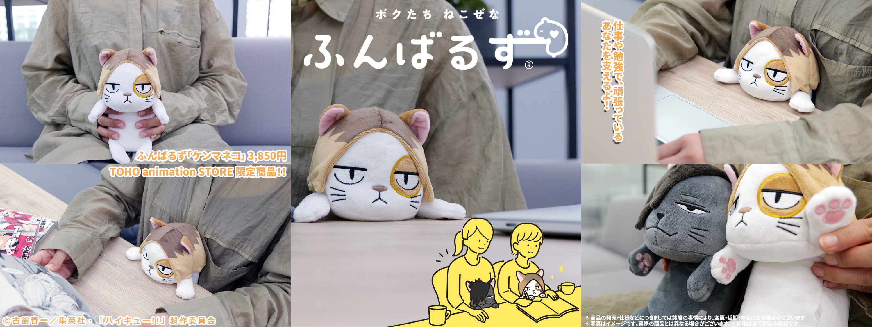 ハイキュー ふんばるず Amazon.co.jp: 黒尾鉄朗 ぬいぐるみ ふんばるず クロオネコ