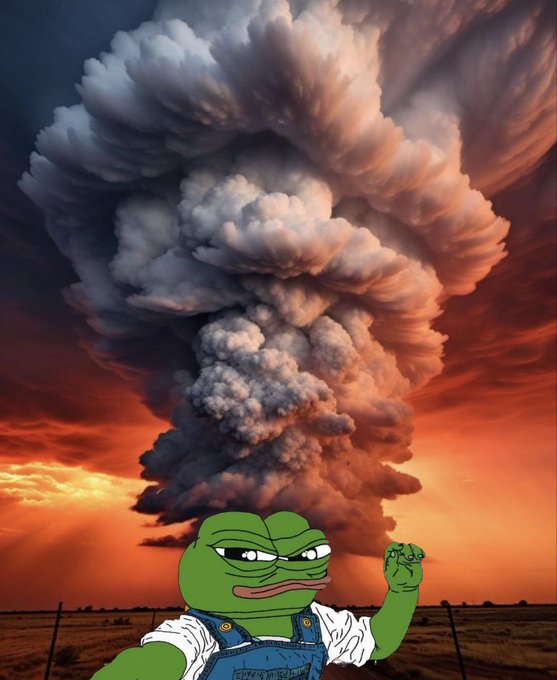 WVMorganAz's tweet image. Welcome to the Storm..🐸
Please fasten your seat belts, it's gonna be a bumpy ride..
#MAGA