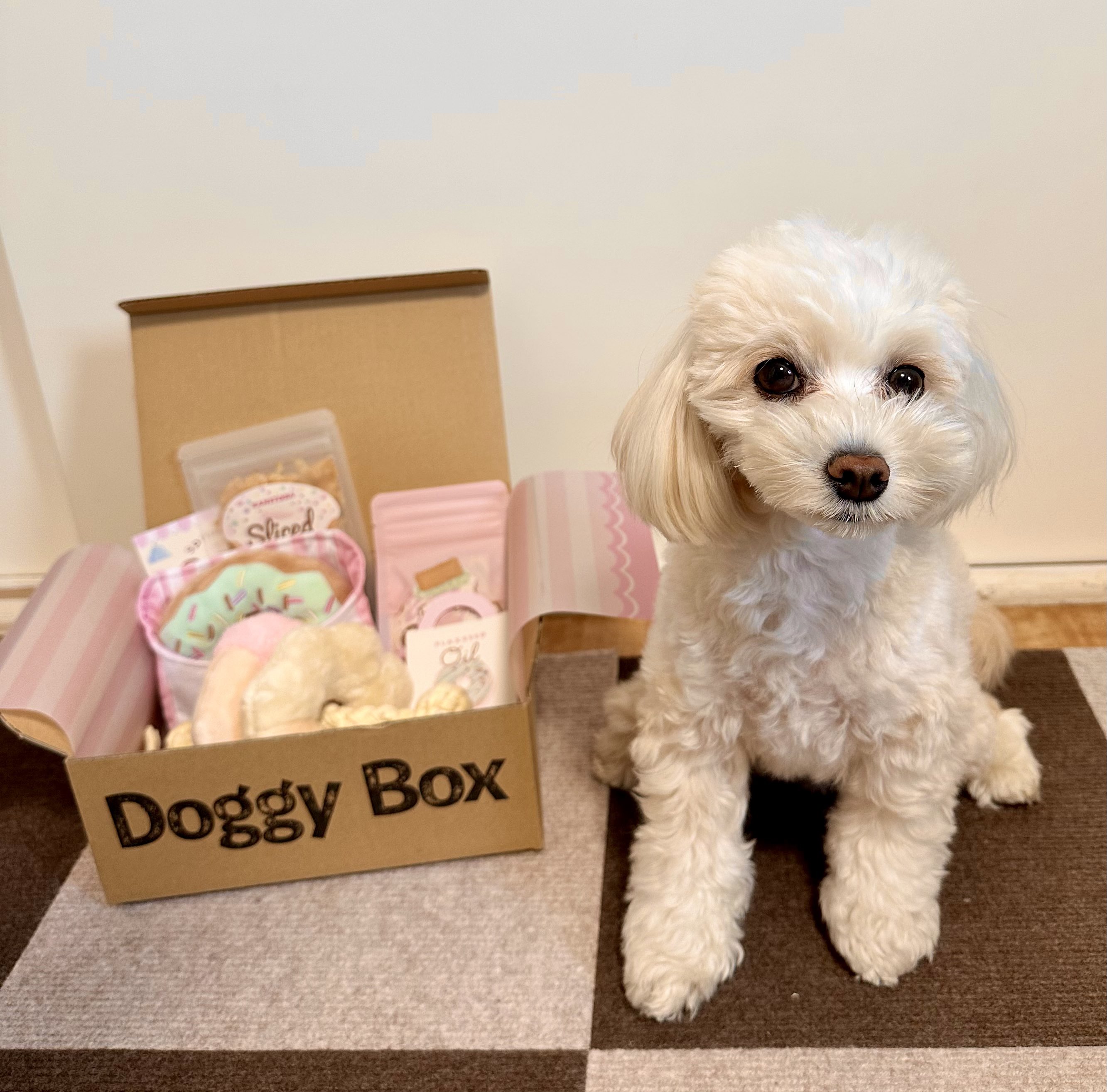 正規品♡SLEEPING DOGワンポイントロンT♡オフホワイト　コーギー SLEEPING DOGワンポイントロンT ジェラートピケ コーギー
