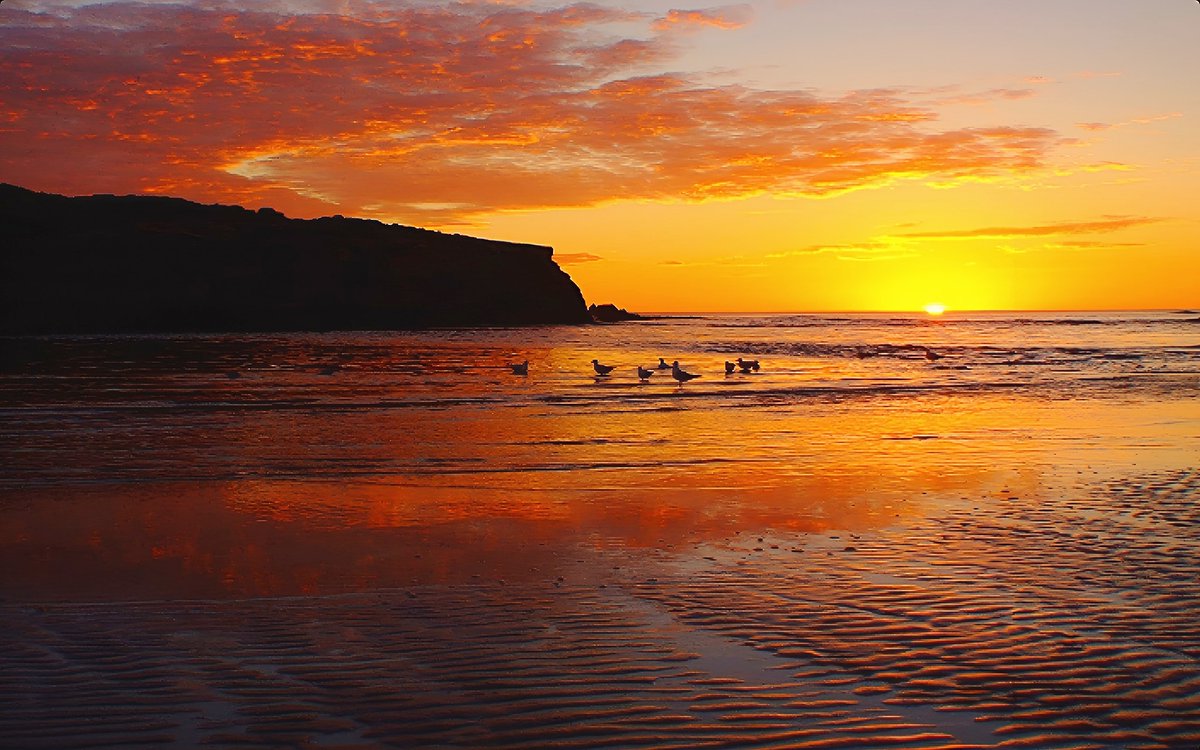 Sunrise at Warrnambool, Victoria, Australia 

#sunrise