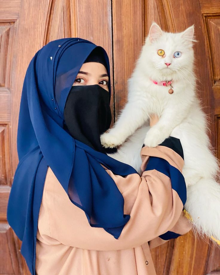 Assalamualaikum 

Good Morning All 💙