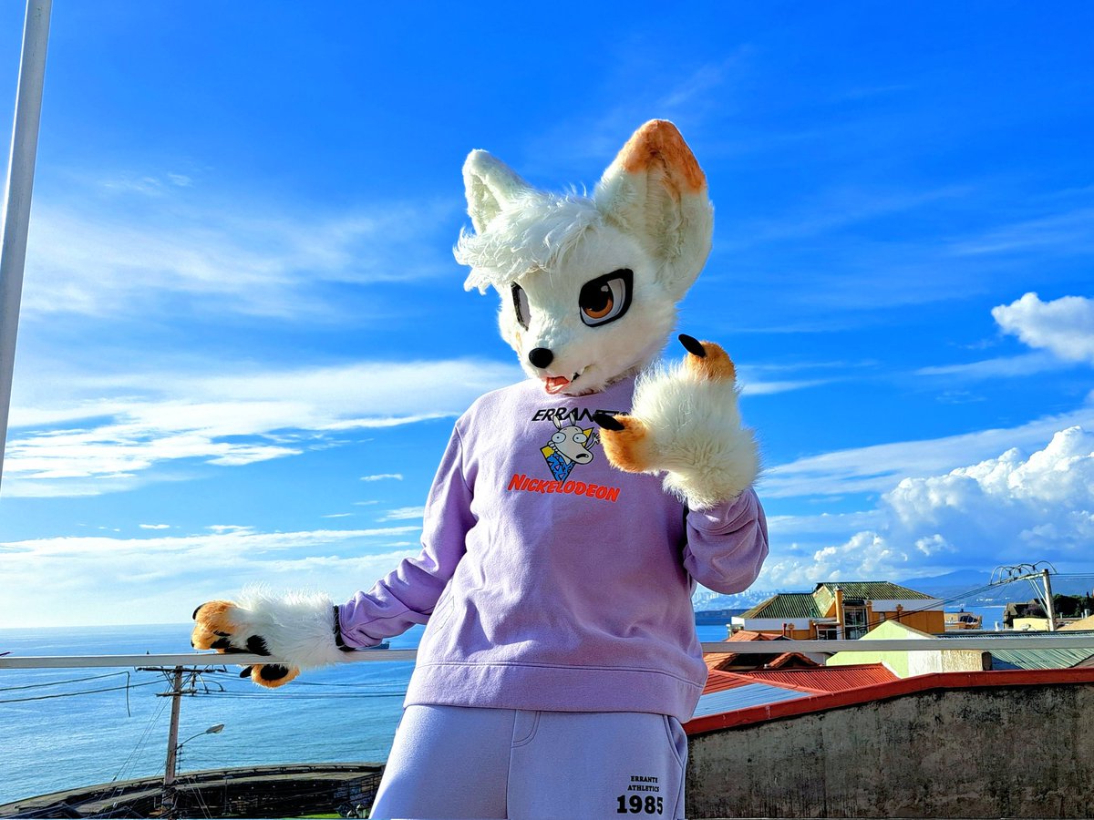 Akuma Koohii π Pawstral 2025 πΎ (@macchiat01) on Twitter photo π.- π.-