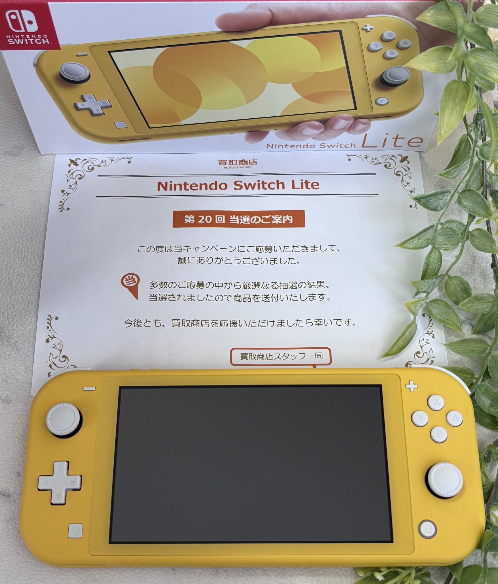 TRY　WISH　キャンペーン　非売品 AZONE INTERNATIONAL::えっくす☆きゅーと::商品詳細