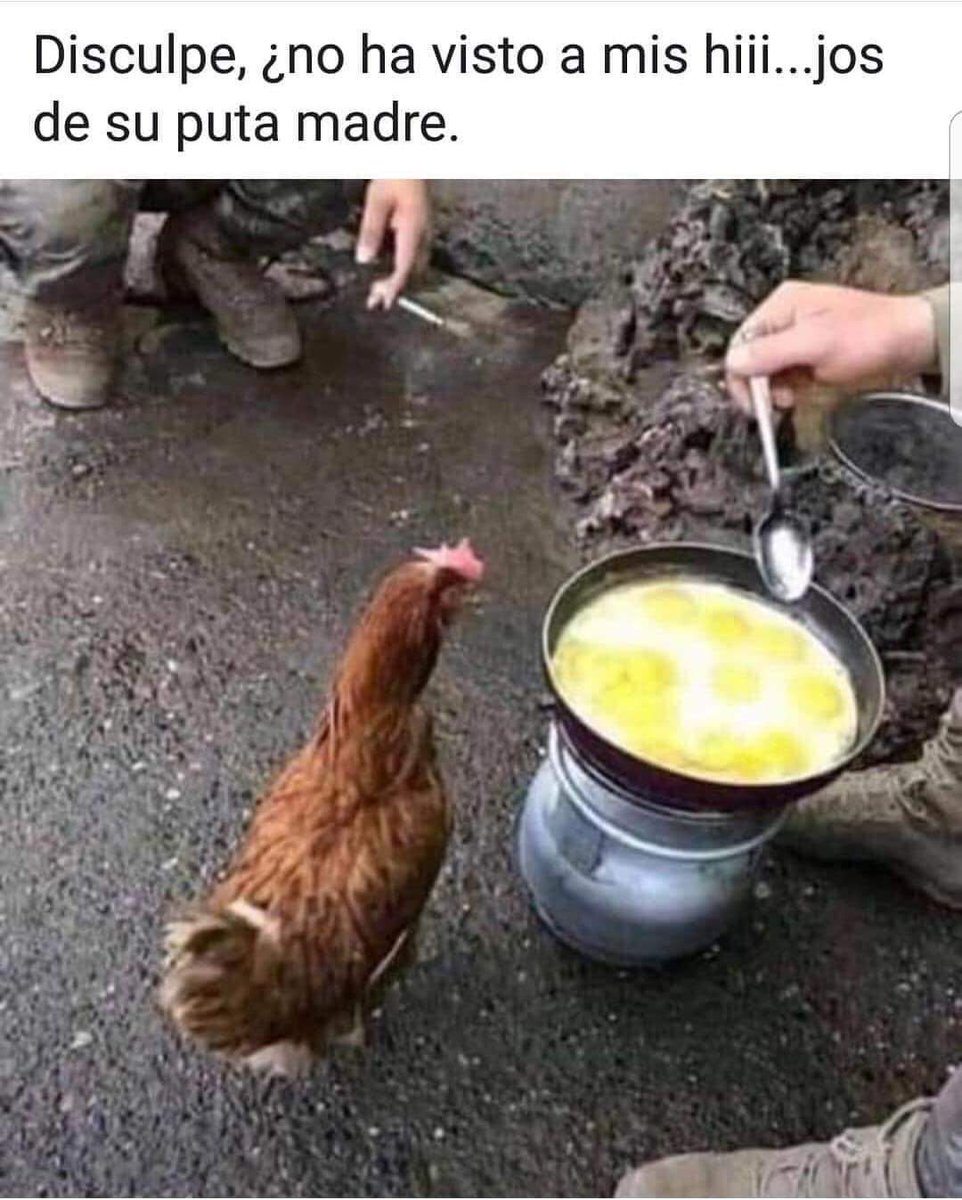 DonMemazos (@donmemazos) on Twitter photo 