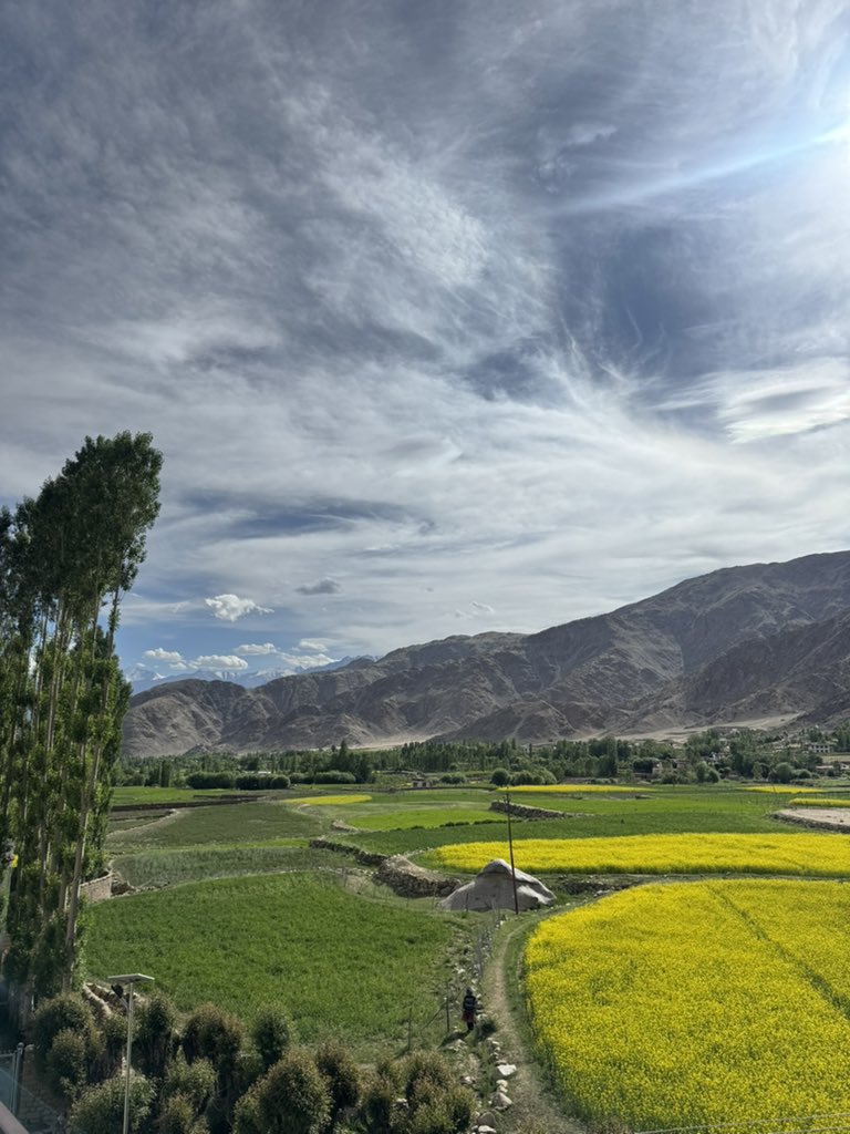 Framed by nature, embraced by peace 🌿