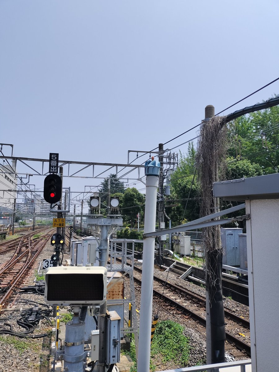 心が死んでる中なんとか出勤😵
相変わらずの猛暑でこのまま逆方向の電車に乗って海行きたい欲に駆られるけど有給も残り少ないので我慢🤮
プログラムの物体認識は進展あって学習結果をリアルタイムで確認出来るようになったので進展してるけどこの後どうしよ感😥
お仕事お待ちしてます😅