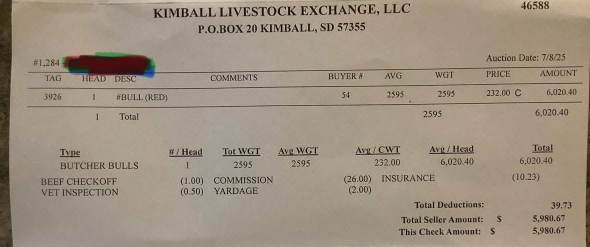 Breaking news Kimball SD!! Getting  slammed with texts from witnesses who were in the barn when a Baloney Bull crossed the $6k mark! Whoa!!🔥🔥🔥#2595 x $232.00 = $6020 !! Can you dig it! Thoughts?! 🔥🔥🔥🔥🔥🥩