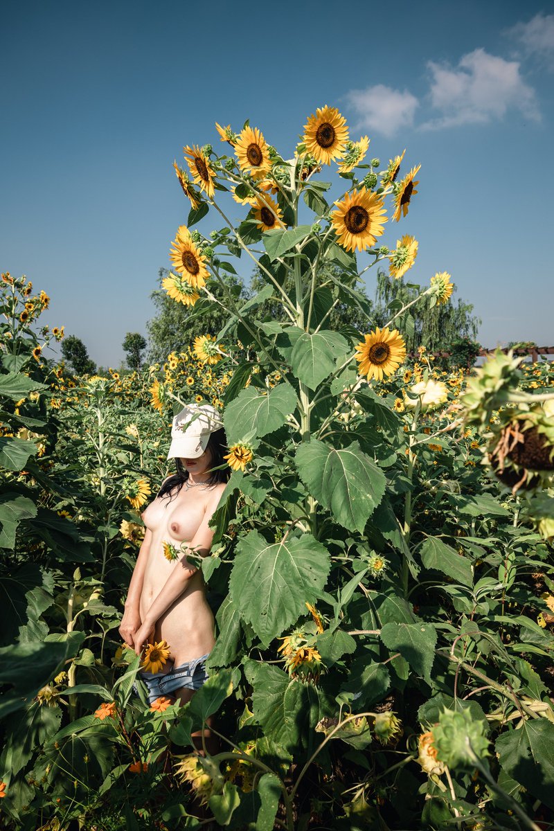 I am nobody (@all4void) on Twitter photo 