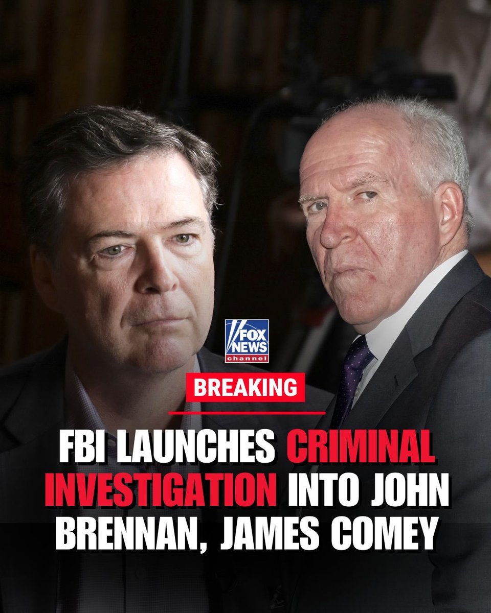 No one is above the law