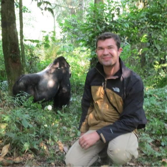 Ever dreamed of being a gorilla researcher? The Gorilla Habituation Experience in Bwindi lets you do just that! 4 hours with these gentle giants, learning their ways: bwindiforestnationalparkuganda.com/gorilla-habitu…   #bwindiimpenetrablepark
#bwindinationalpark
#bwindipark