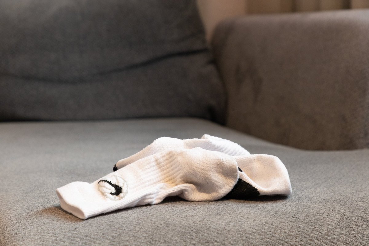 光是把袜子放在这儿
某些狗就硬的流水