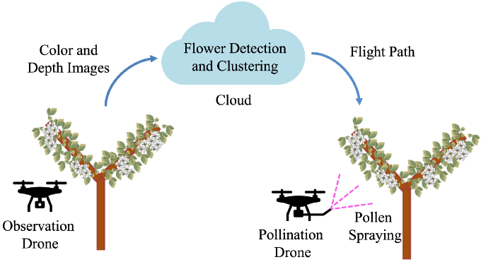🌿New Publication🌿

Cluster-Based #Flight Path Construction for #Drone-Assisted Pear Pollination Using #RGB-D Image Processing

By Arata Kuwahara et al. 

👉See the paper: mdpi.com/2504-446X/9/7/…