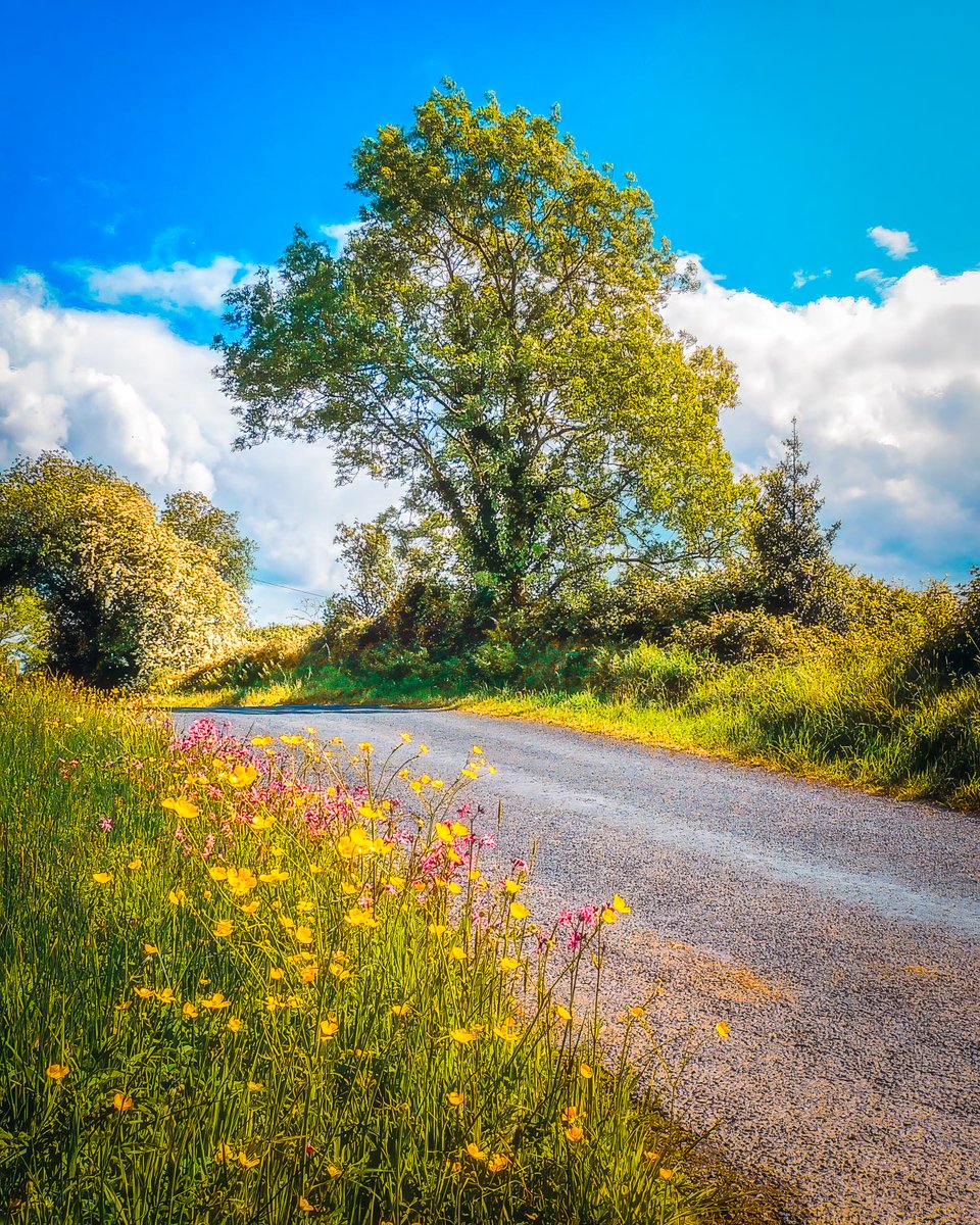 GM, and Happy Wednesday!