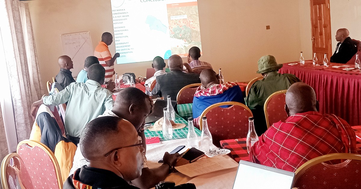 BornFreeKenya's tweet image. Last month, we joined partners at Ole Narika Conservancy to review its critical role as a wildlife corridor between Amboseli, Tsavo West, and Chyulu Hills National Parks. The survey revealed thriving biodiversity from elephants and zebras to 107 bird species, but also challenges…