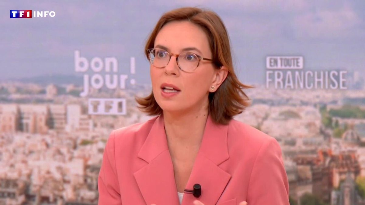 Budget 2026 : des économies "plus massives que jamais", prévient Amélie de Montchalin sur TF1
➡️ l.tf1info.fr/E8R