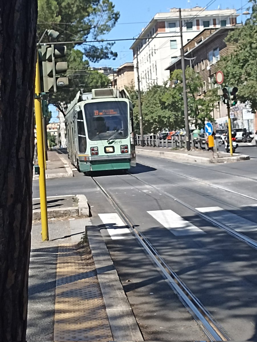 Altro che stanga che ha il pregio di avere i finestrini! Ti vedi arrivare questo e ti viene da piangere e fai testamento 🥹#atac #curadelferro <a href="/gualtierieurope/">Roberto Gualtieri</a>  <a href="/eugenio_patane/">Eugenio Patanè</a>