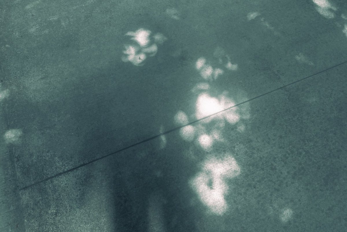 _fhch's tweet image. 本音