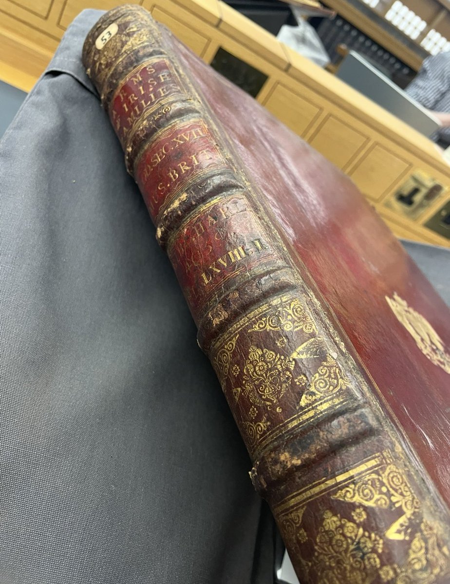 NatisArms's tweet image. The arms of #Duffy of #Ireland. 
The motto is (by pencil)  CONCULCABIS LEONEM ET DRACONEM (Psalms 90/91).
תִּרְמֹס כְּפִיר וְתַנִּין
Crocodile is translated as #dragon.  
Irish heraldry, painted by James Terry, Athlone #Herald, exiled in France with K James II BL, Harley MS 4039