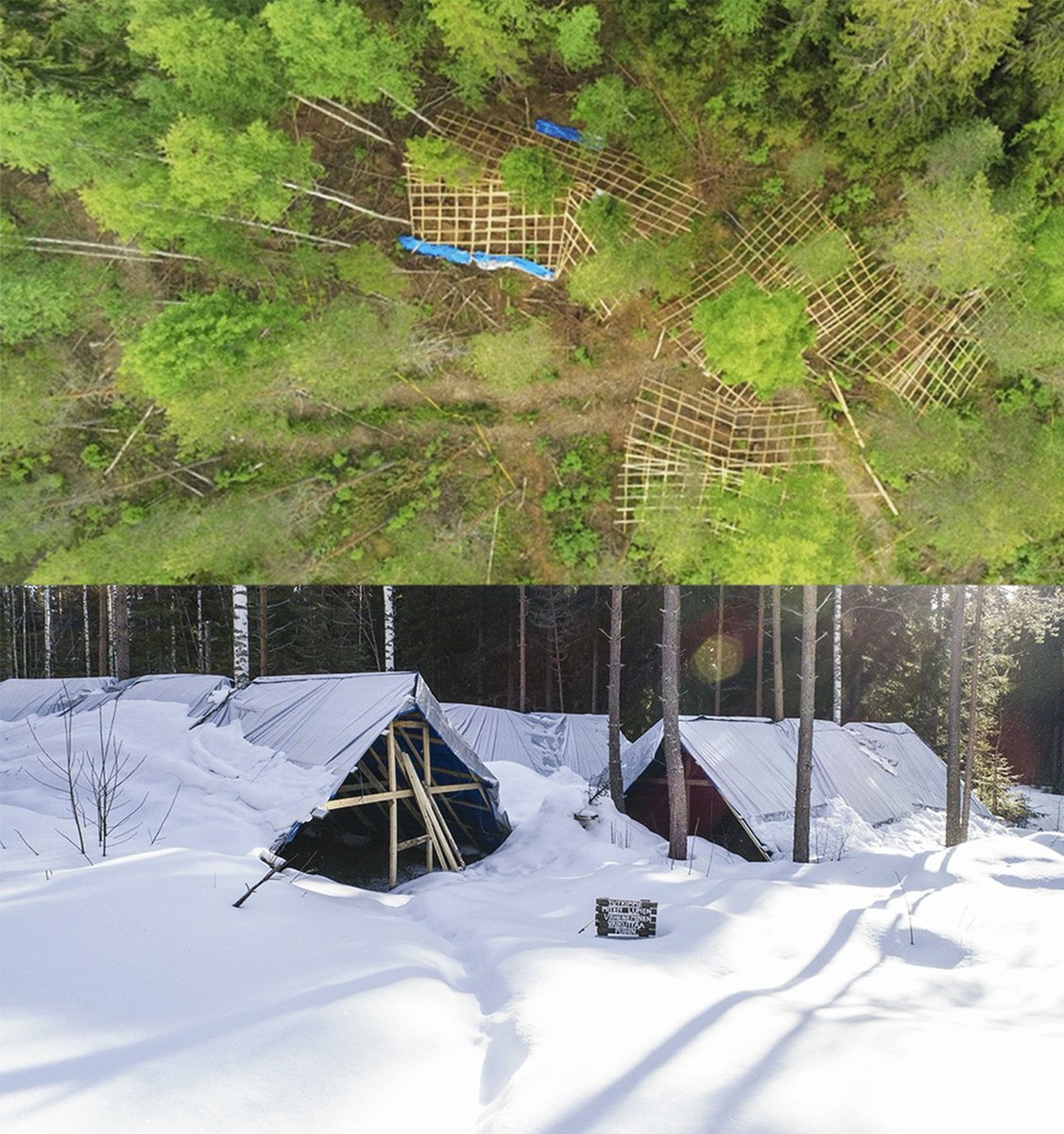 🌲What happens when snow disappears from boreal forests?
Less respiration.
Delayed sap flow.
Shrinking bilberry patches.

❄️This new JFR study reveals how snow cover loss reshapes forest life: link.springer.com/article/10.100…

#BorealForests #ClimateChange #ForestScience #Forestryresearch