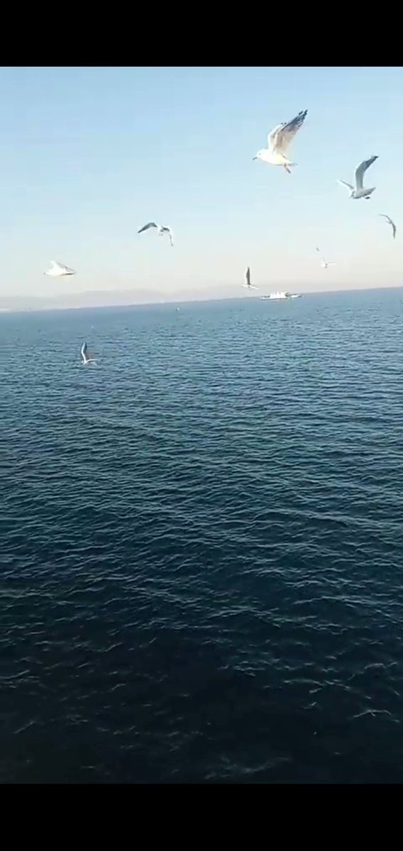 çıkarcı olma insan ol (@turanx48) on Twitter photo 