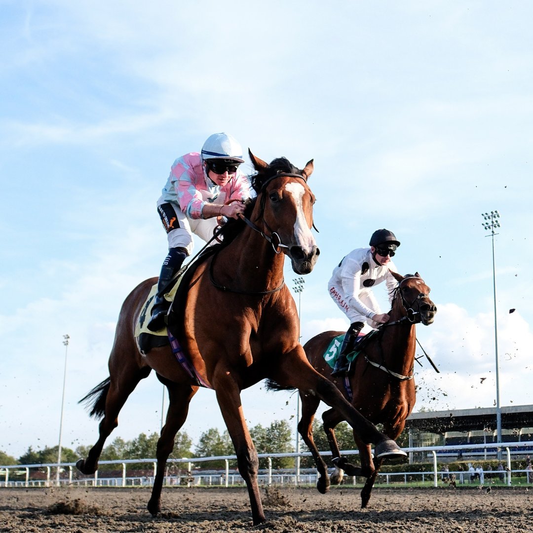 WE RACE TODAY 🔥

Gates open 4:30pm
First Race 5:50pm
Last Race 8:55pm