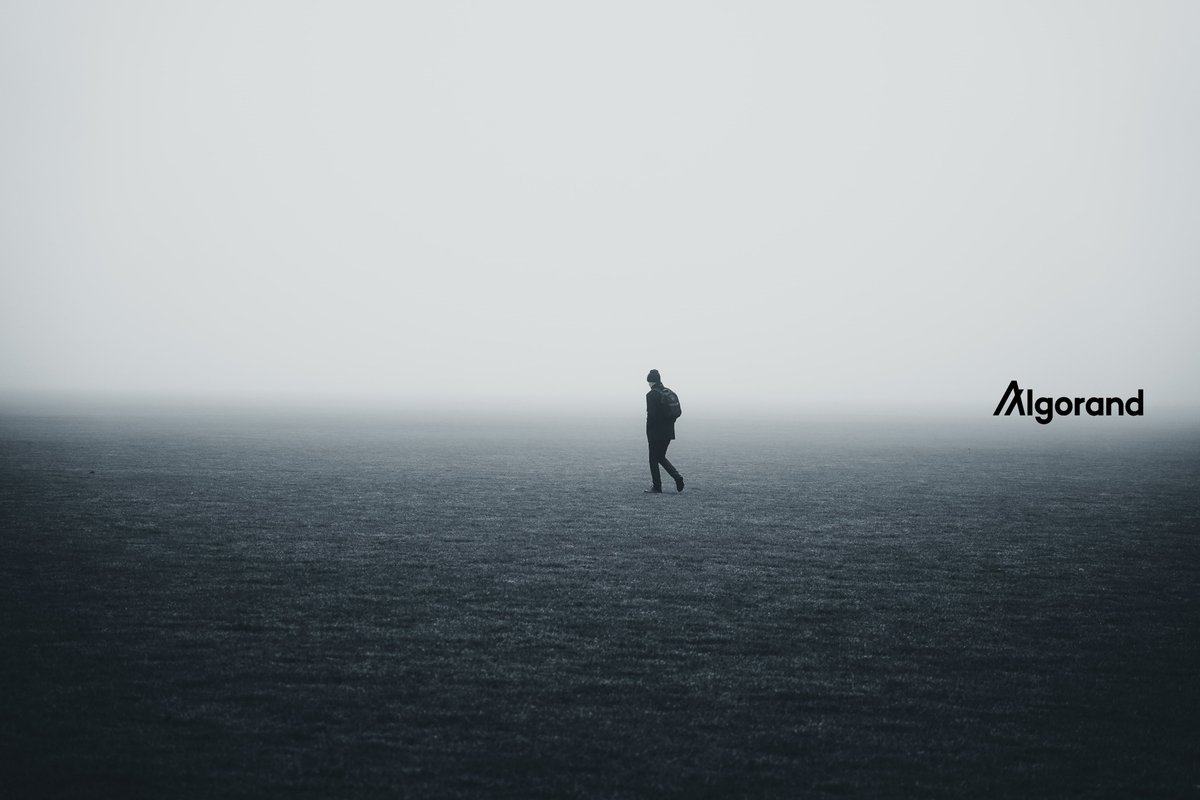 The roadmap can and will change many things. $ALGO

I was one of the first buyers of the coin in 2020, fought through ups and downs, the insane myALGO hack and still fighting with never selling any coin. Populated our portfolio as soon as liquid staking kicked off. 💚Yields.