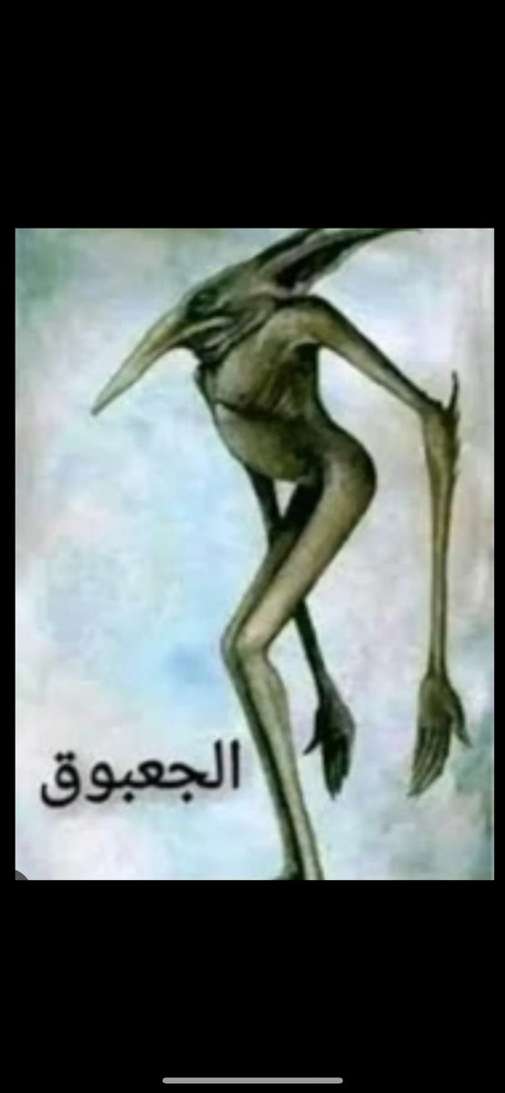 حمد بن عبدالله 🐦‍⬛ (@mrzqrt) on Twitter photo 