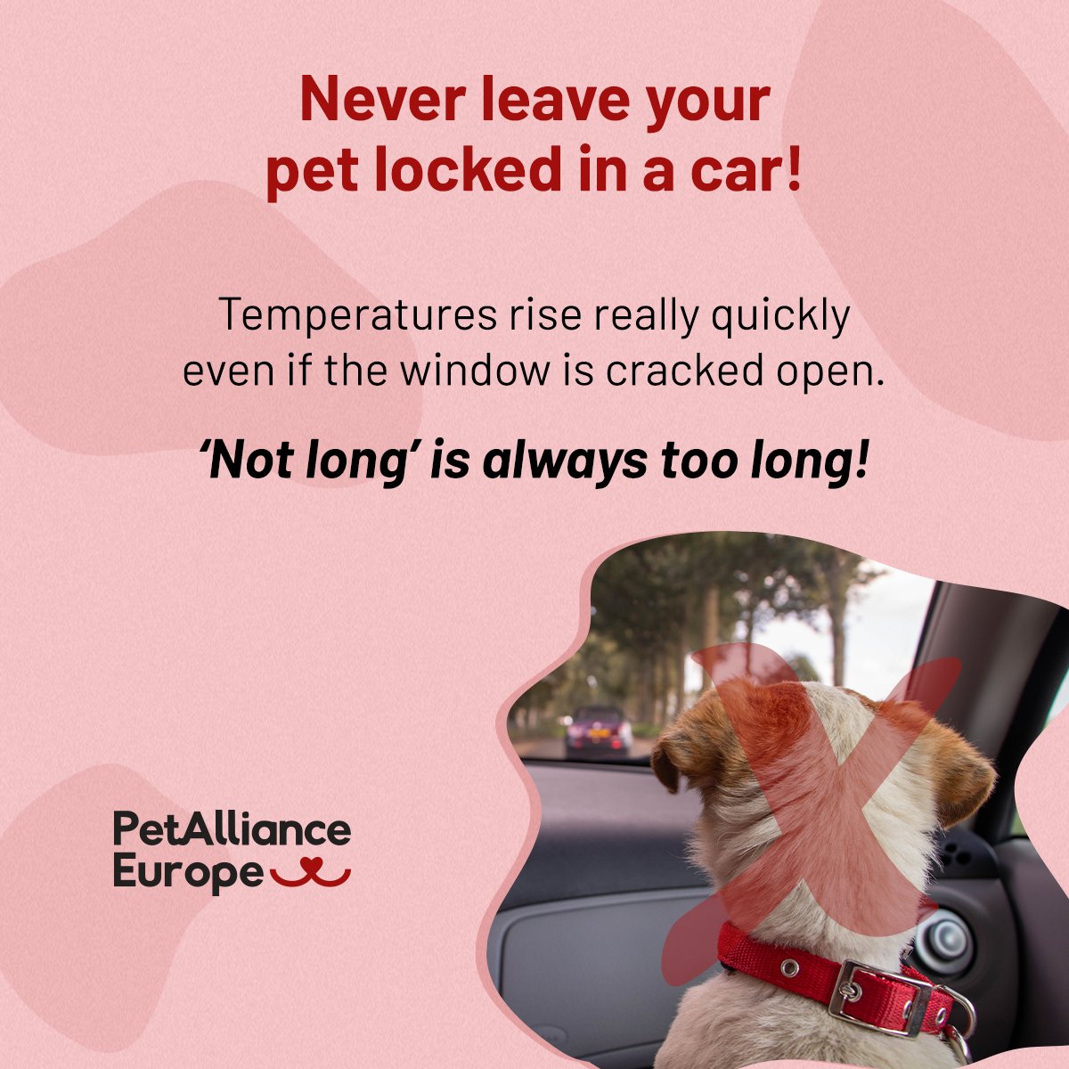PetPowerEU's tweet image. Think it’s “not that hot”? Think again!
👉Even at just 20°C, the inside of a parked car can reach deadly temperatures within minutes. 🥵
Putting your pet at risk of #heatstroke.
🚫 Never leave your pet alone in a parked car