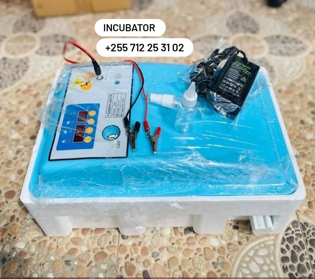 joackcompany's tweet photo. INCUBATOR | MASHINE ZA KUTOTOLESHEA MAYAI | MASHINE ZA KUANGULIA VIFARANGA

Call/Text/WhatsApp: +255 712 25 31 02 

Ofa free Drinker free Feeder 

Muda wa kazi: 07:00am Asubuhi - 11:00pm Usiku https://t.co/gWqELVSxsZ