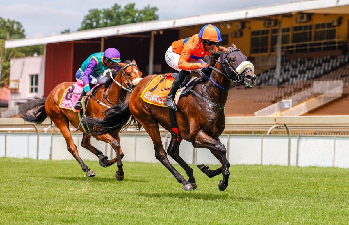 HOLLYWOODBETS SCOTTSVILLE - 09 JUNE 2025 🇿🇦

1️⃣ OPERA FAN
2️⃣ MASTER SPY
3️⃣ NEXT OF KIN
4️⃣ CELESTIAL DIAMOND
5️⃣ WORLD OF ROYALTY (BB)
6️⃣ ANOTHER DREAM
7️⃣ LOCK AND KEY
8️⃣ MAJOR TOMMIE (NB)

PERHAPS A DAY FOR FAVOURITES! 🤔