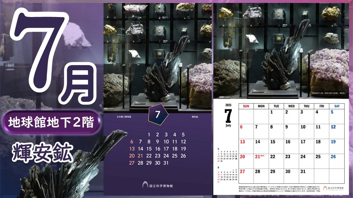 かはく【国立科学博物館公式】 on X: 