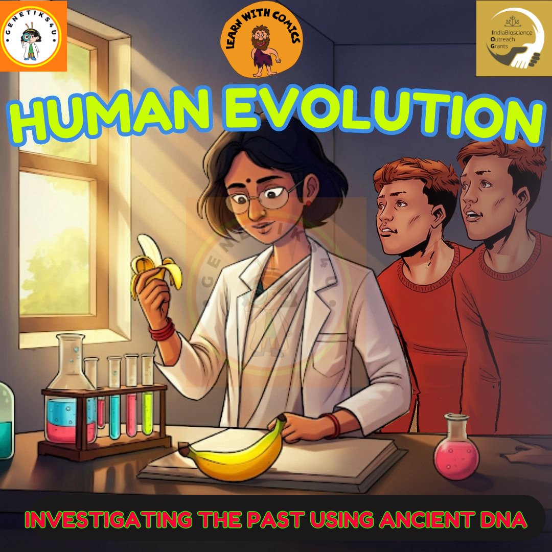genetiks4u's tweet image. Super excited to launch our fourth comic of advanced topic series. This time it&apos;s on #humanevolution. This comic is written by our subject expert Dr Maanasa Raghavan @MaanasaRaghavan @GenSCAPE_Lab , Assistant Prof, Department of Human Genetics, University of Chicago @UChicago