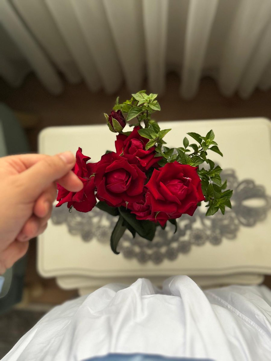 |•Her mahrum kalışın bir bayramı vardır .
Sen Allah'a güven.🌹