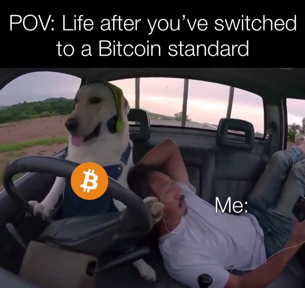 DomXMeta's tweet image. Still a $SOLANA guy, but gotta 
always hodl some $BTC 💯💯