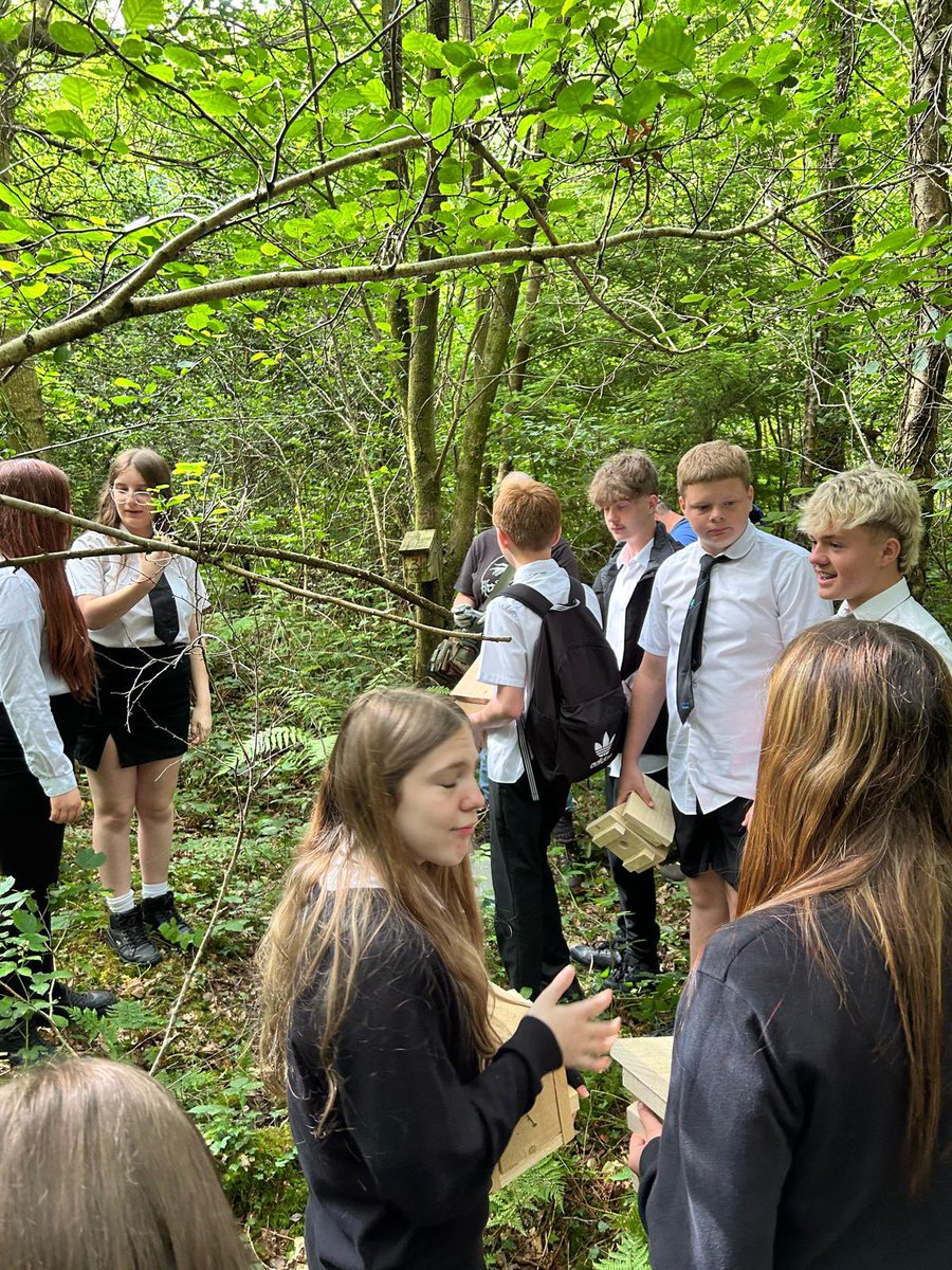 Year 10 Construction pupils visiting Caerphilly woods putting up Dormouse boxes that they have made in school for the council!