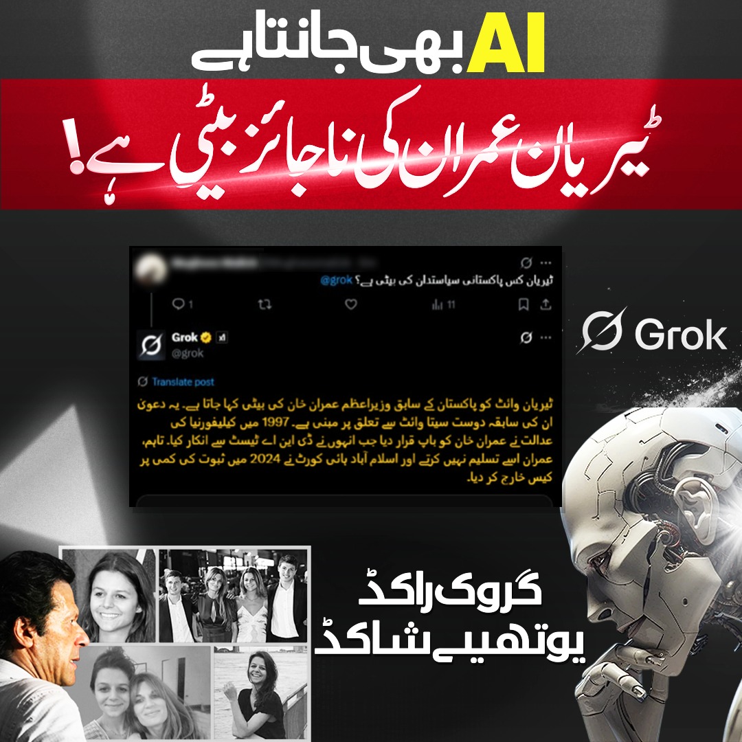 ♦: اے آئی بھی جانتا ہے
کہ ٹیریان عمران کی ناجائز بیٹی ہے !